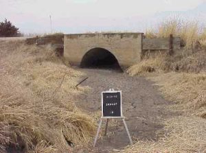 con arch image 1