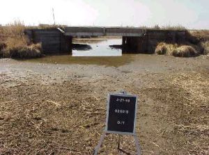 small bridge image 1